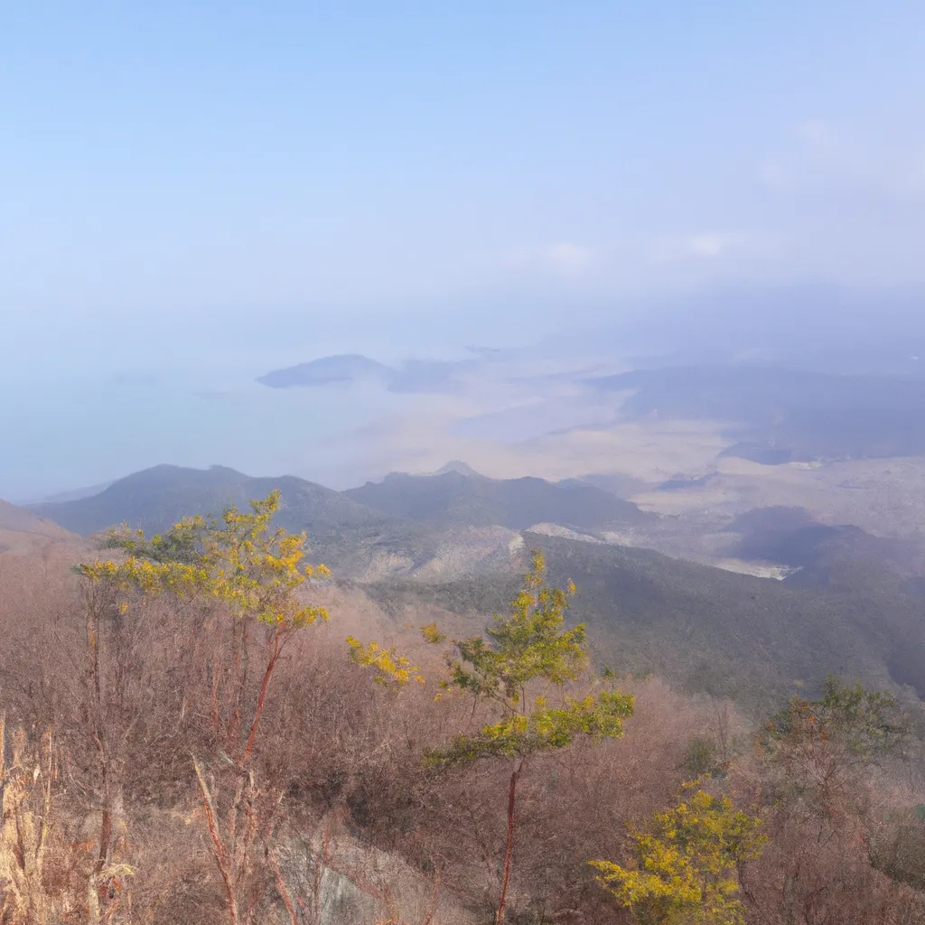 가벼운 한끼 배달 서비스 시작 전 알아야 할 법률 사항