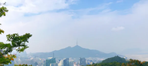간편식 영양성분 허위표시와 소비자 피해